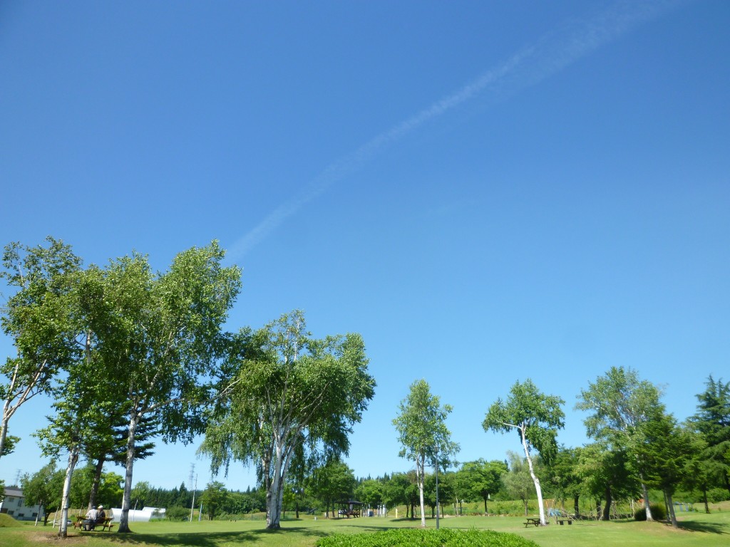 2018.6.17 2018.6.17