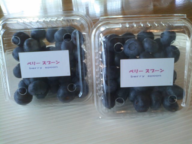 SN3M0072 SN3M0072